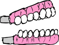 DENTUJ.WMF