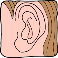 EARR.WMF