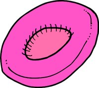 BLOCELR.WMF