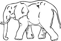 ELEPHAN3.WMF
