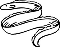 EEL3.WMF