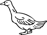DUCK3.WMF