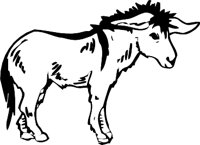 DONKEY3.WMF
