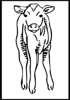 COW3.WMF