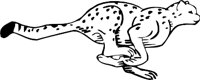 CHEETAH3.WMF