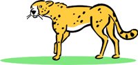 CHEETAH1.WMF