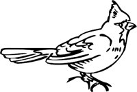 CARDINA3.WMF