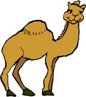 CAMELQ.WMF