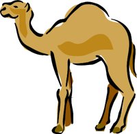 CAMEL1.WMF