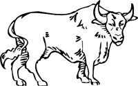 BULL3.WMF