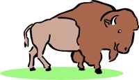 BUFFALO1.WMF