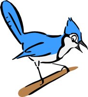 BLUEJAY1.WMF