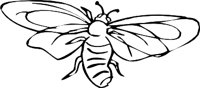 BEE3.WMF