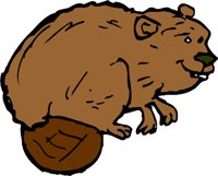 BEAVERQ.WMF