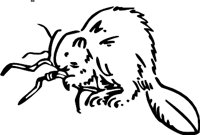 BEAVER3.WMF