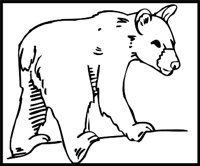BEAR3.WMF