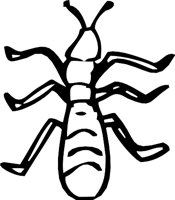 ANT3.WMF