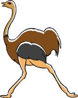 OSTRICH1.WMF