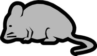 MOUSE4.WMF
