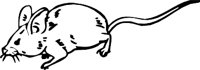 MOUSE3.WMF