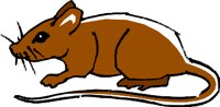MOUSE1.WMF