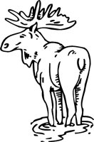 MOOSE3.WMF