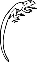 LIZARD3.WMF