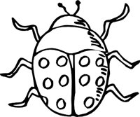 LADYBUG3.WMF