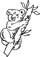 KOALA3.WMF