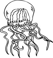 JELLYFI3.WMF