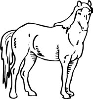 HORSE3.WMF