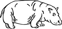 HIPPO3.WMF