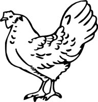 HEN3.WMF