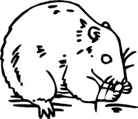 HAMSTER3.WMF