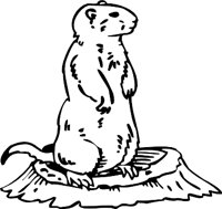 GOPHER3.WMF
