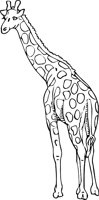 GIRAFFE3.WMF