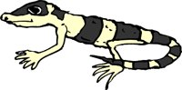 GECKOJ.WMF