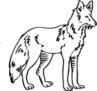 FOX3.WMF