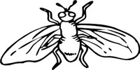 FLY3.WMF