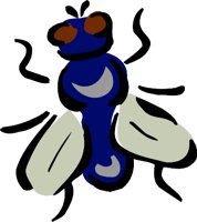 FLY1.WMF