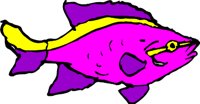 FISH9J.WMF