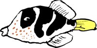 FISH6.WMF