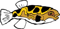 FISH5J.WMF