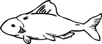 FISH3.WMF