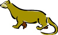 FERRET1.WMF