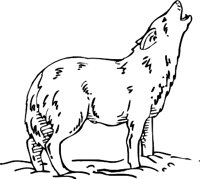 WOLF3.WMF