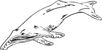 WHALE3.WMF