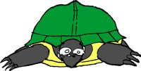 TURTLEJ.WMF