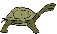 TURTLE3J.WMF