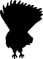 TURKEYT.WMF